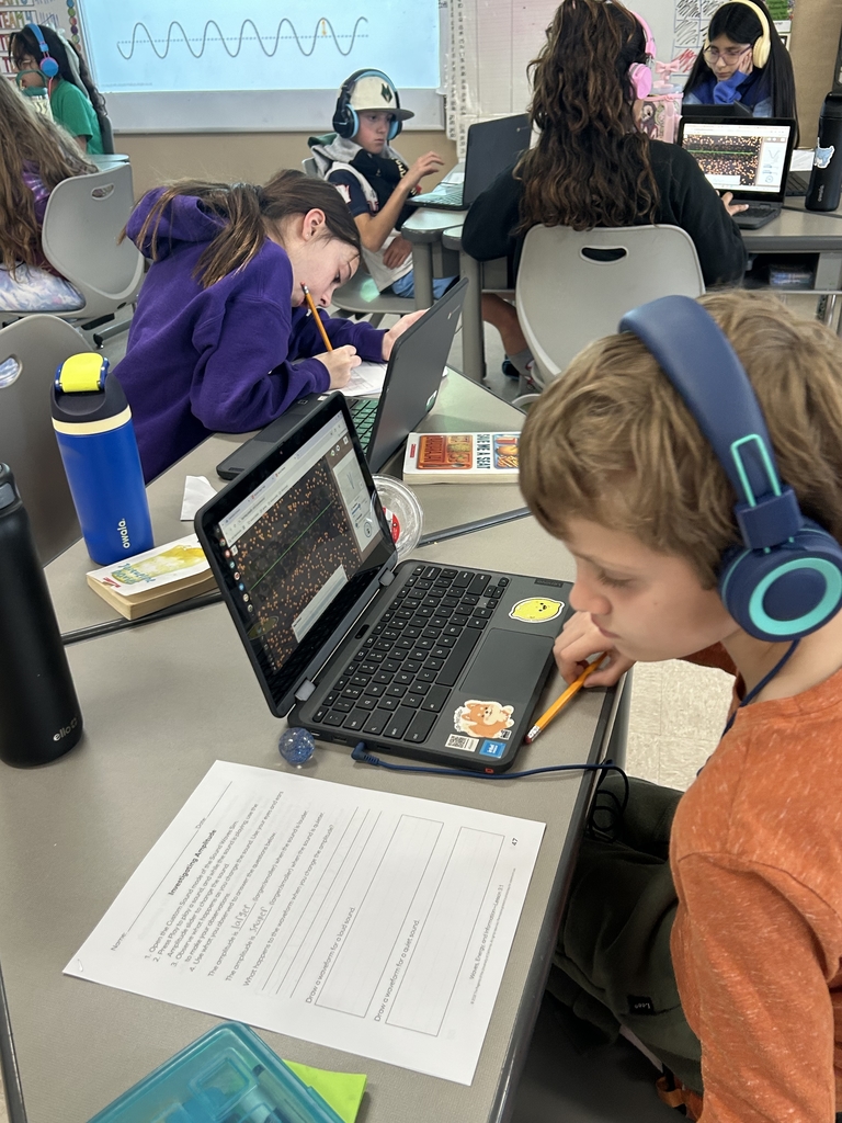 Boy on laptop researching how different animals communicate with each other.