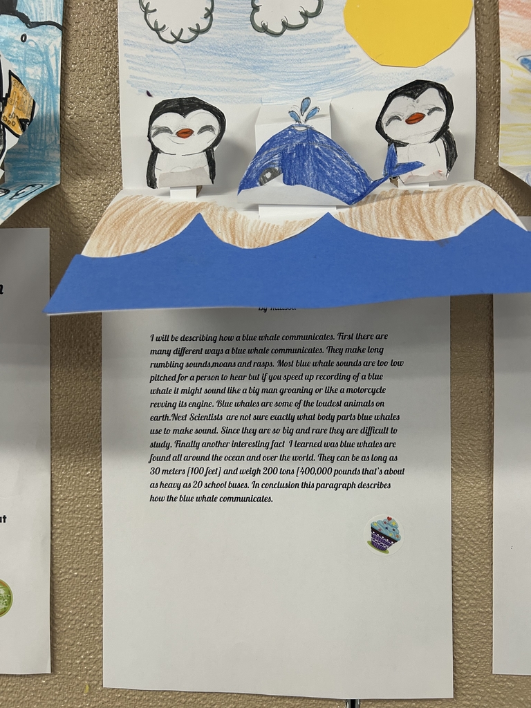 A posted animal project on a bulletin board with a colored image and a printout of copy.