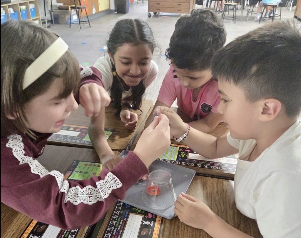 Four second graders working closely around a desk with an upside down cup in the center.