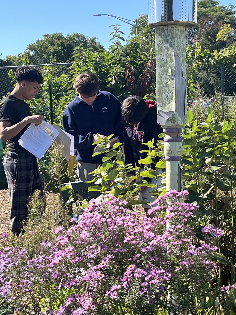 Students looking at plants and reading worksheets for instructions