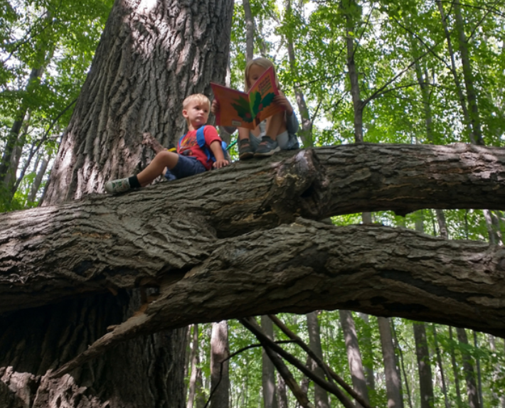Siblings sitting up in a tree with the older one reading a book to the younger one.