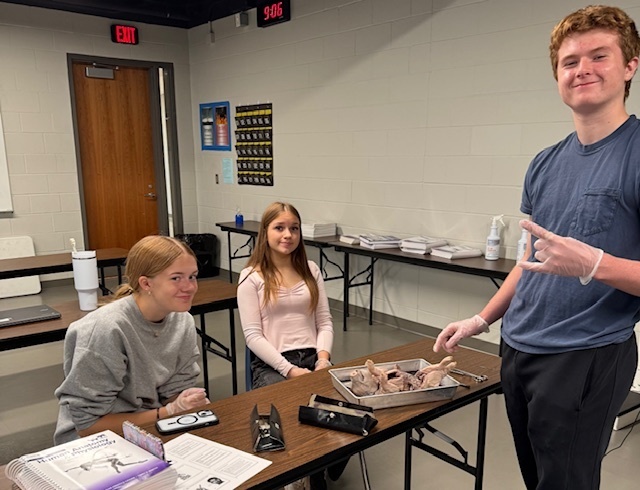 Dissect Pigs