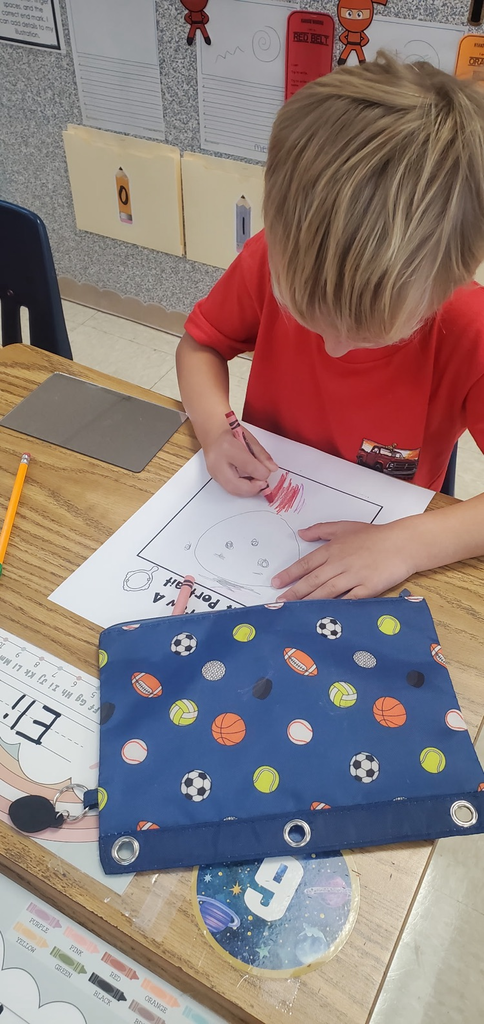 Mrs. Melissa's class is the beginning writing phase which includes learning to draw. Today we looked at our facial features and drew self portraits!
