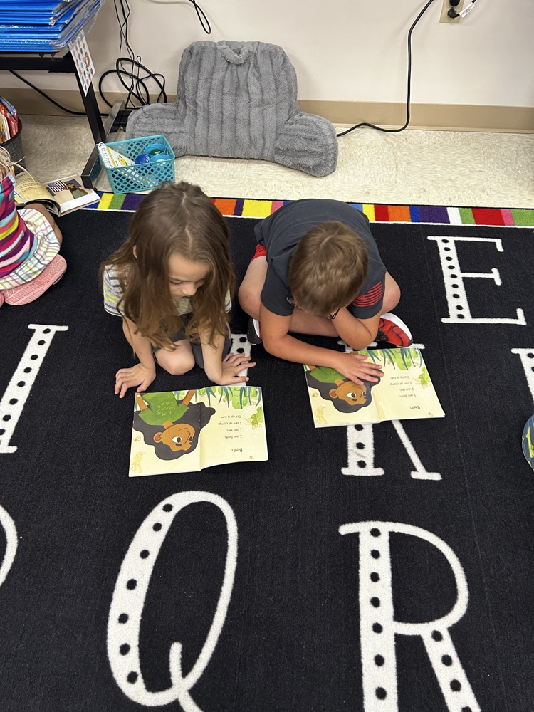 Buddy Reading