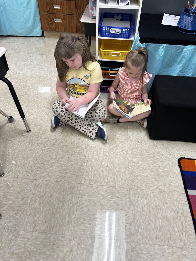 Buddy Reading