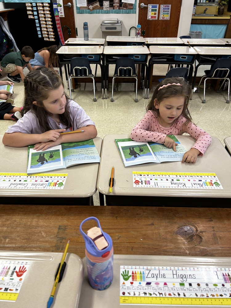 Buddy Reading