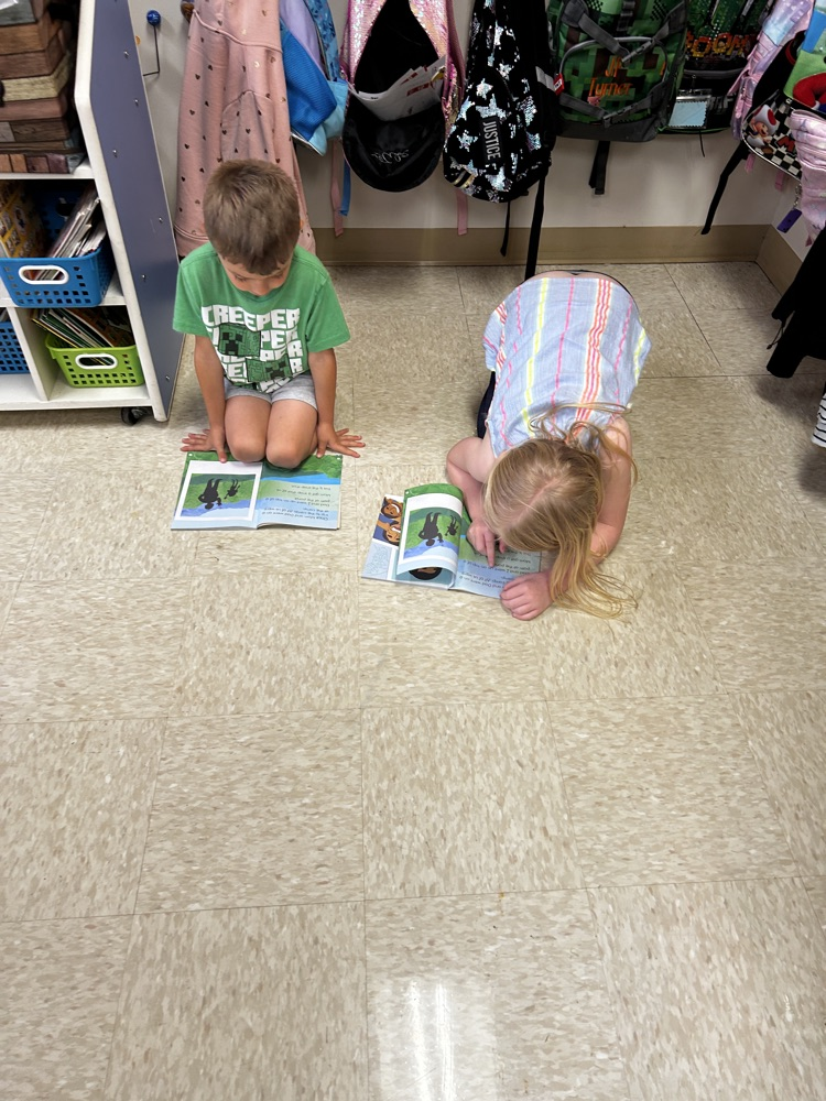 Buddy Reading