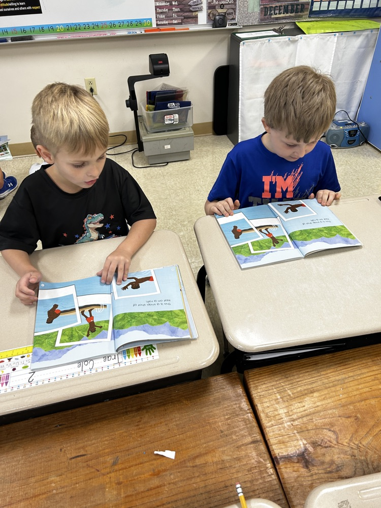 Buddy Reading