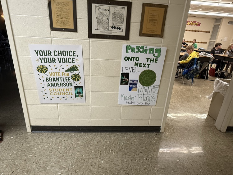 stuco 6