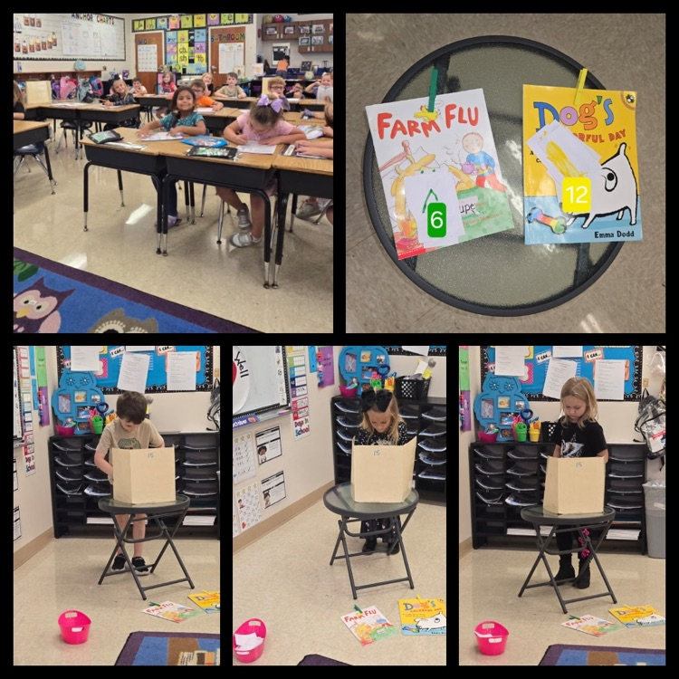 Mrs. Shelley's class is learning about Civics and Government in Social Studies. We talked about our right to vote, and then we voted on a book to read this afternoon.