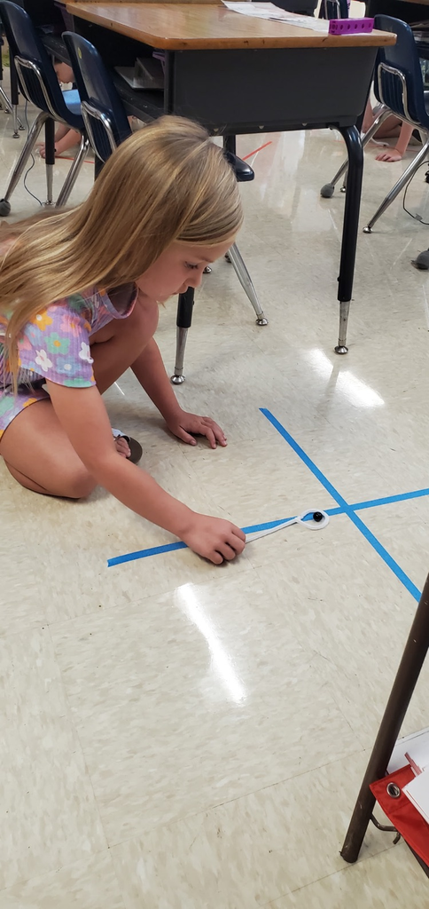 Mrs. Melissa's class learning about lines which leads us to writing: Took our snails for a walk today on spirals, zigzag, vertical, horizontal, diagonal, wavy and ×/+ lines too!!