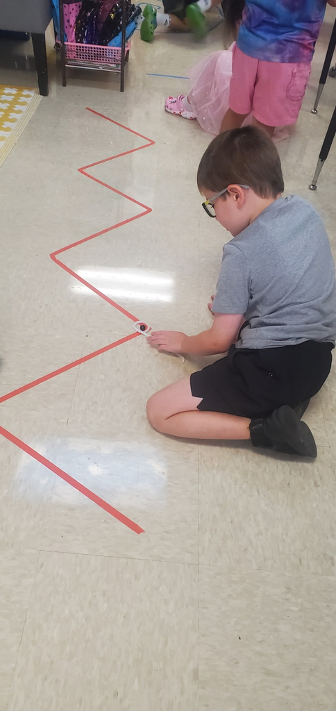 Mrs. Melissa's class learning about lines which leads us to writing: Took our snails for a walk today on spirals, zigzag, vertical, horizontal, diagonal, wavy and ×/+ lines too!!