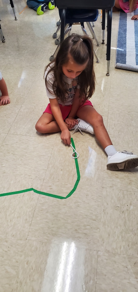Mrs. Melissa's class learning about lines which leads us to writing: Took our snails for a walk today on spirals, zigzag, vertical, horizontal, diagonal, wavy and ×/+ lines too!!