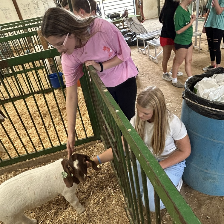 It’s National Teach Ag Day! We are so thankful for our Agricultural educators who do a wonderful job. Our students have great opportunities for hands on learning and skills that will translate to future careers!