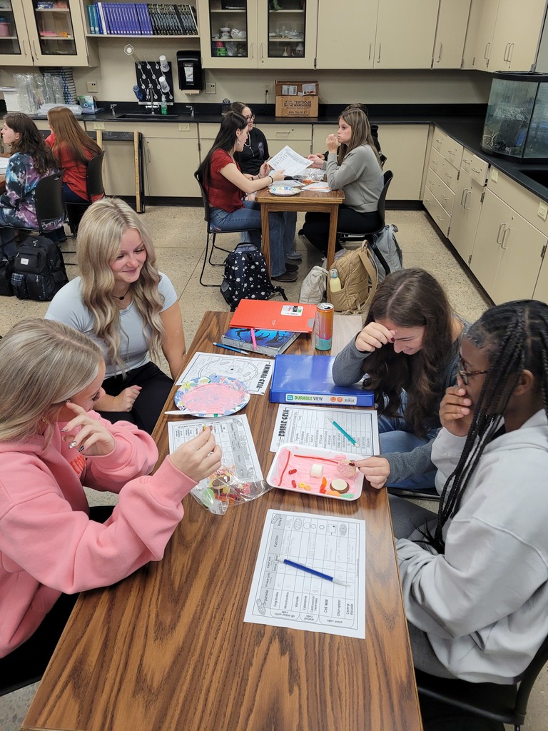 Students making candy animal and plant cells