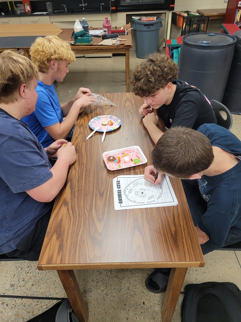 Students making candy animal and plant cells