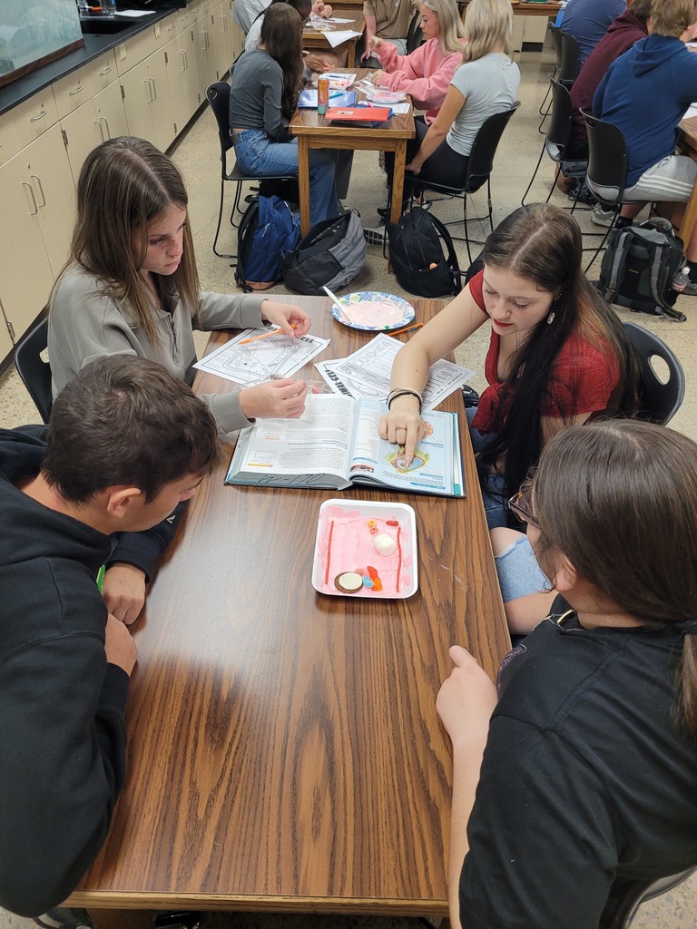 Students making candy animal and plant cells