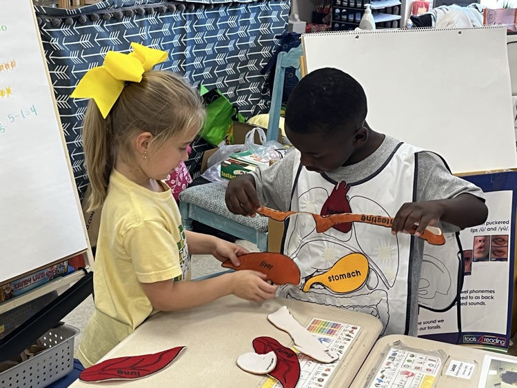 Mrs. McMillon’s class celebrated with “Dr. Day” to conclude their study of the human body.