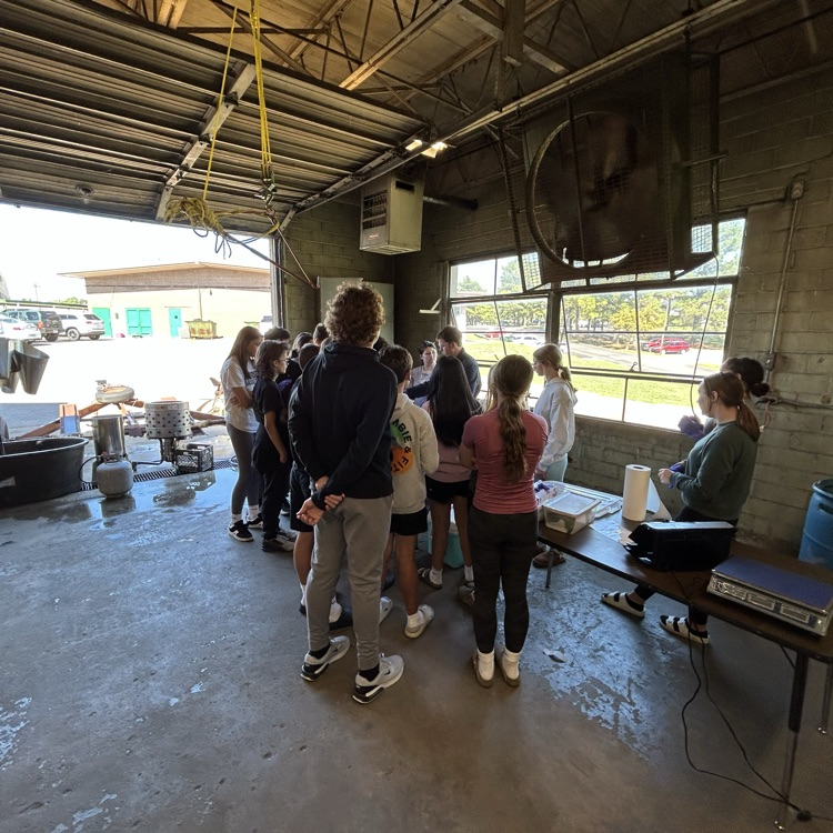 Today was chicken processing day in Agee. Thank you Mr. Gander for teaching our kids! 
