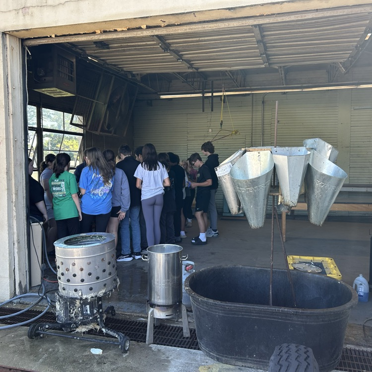 Today was chicken processing day in Agee. Thank you Mr. Gander for teaching our kids! 