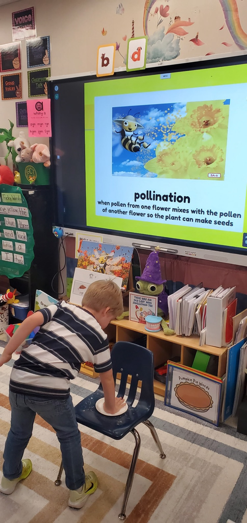 Mrs. Melissa's class enjoyed a hands-on experience from our Knowledge Unit on Pollinators... we became the bees and helped spread pollen to everyone's flowers!