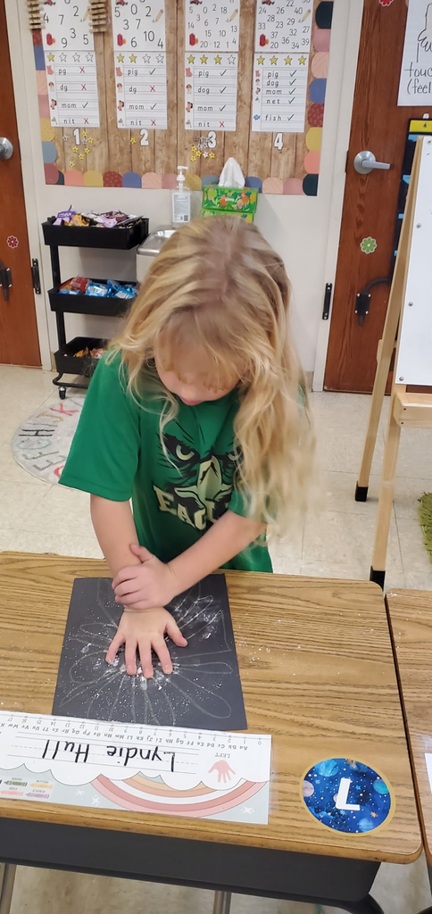 Mrs. Melissa's class enjoyed a hands-on experience from our Knowledge Unit on Pollinators... we became the bees and helped spread pollen to everyone's flowers!