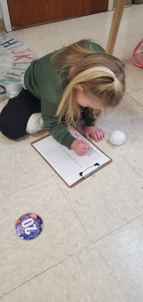 Mrs. Miller's class returned after a snow break and did some Snowball writing with blends and digraphs.