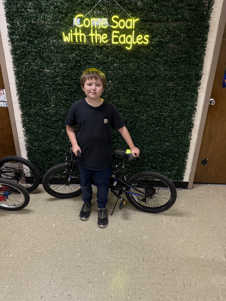Bike 7