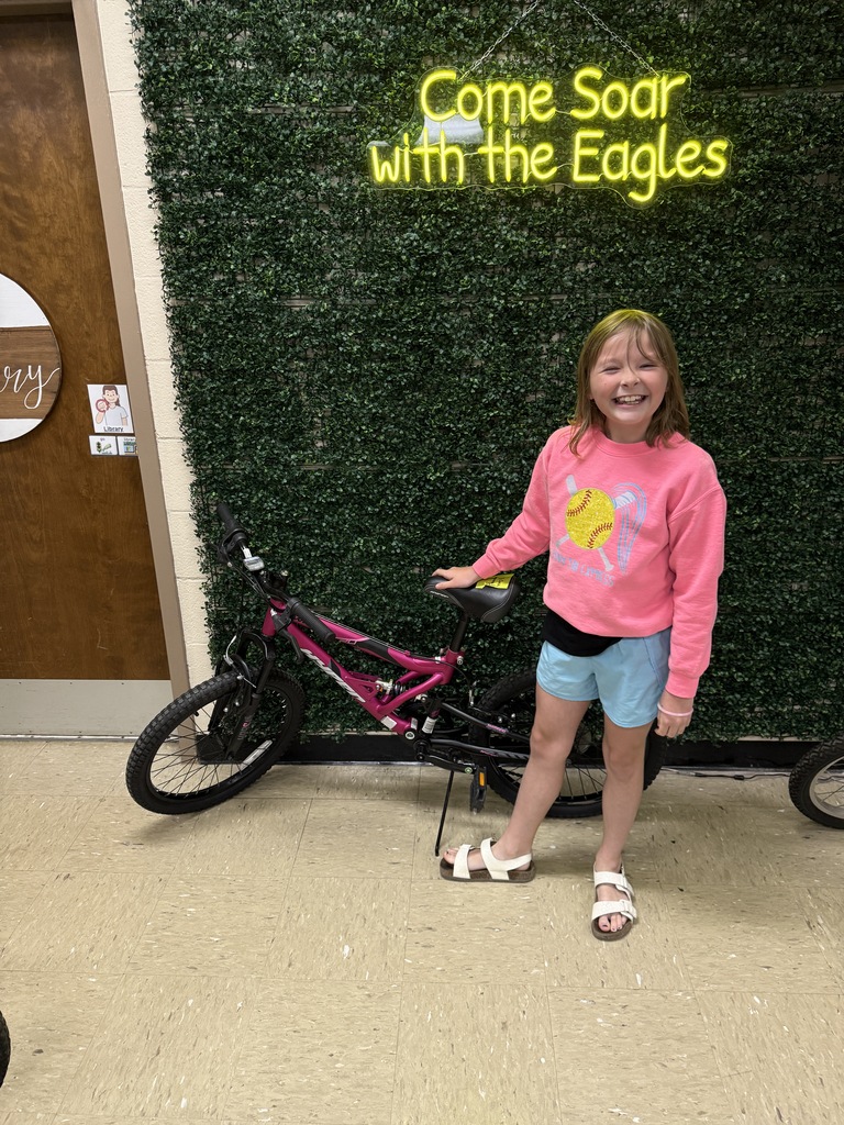 Bike 8
