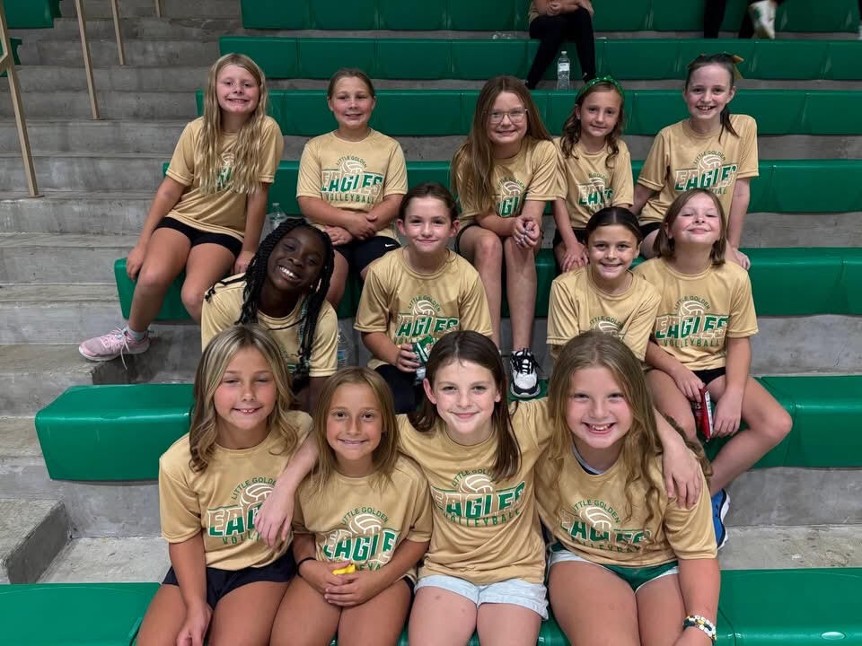 volleyball