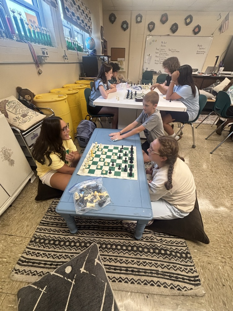 chess 3