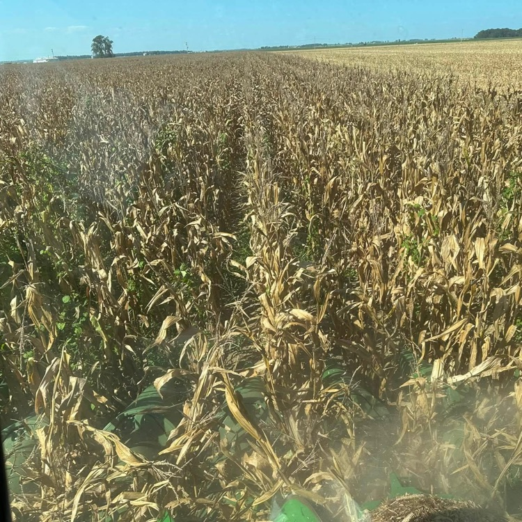 GCT operates an 80-acre row-crop farm in Walcott!  Real skills. Real experience. Real opportunities!