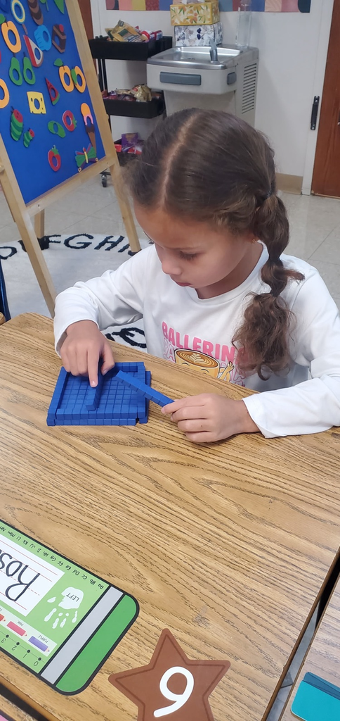 Mrs Melissa's class has been working on sorting objects. Today we listened to the read aloud If I Built A School. We sorted objects and worked together to build our own parts of a school with a little imagination!