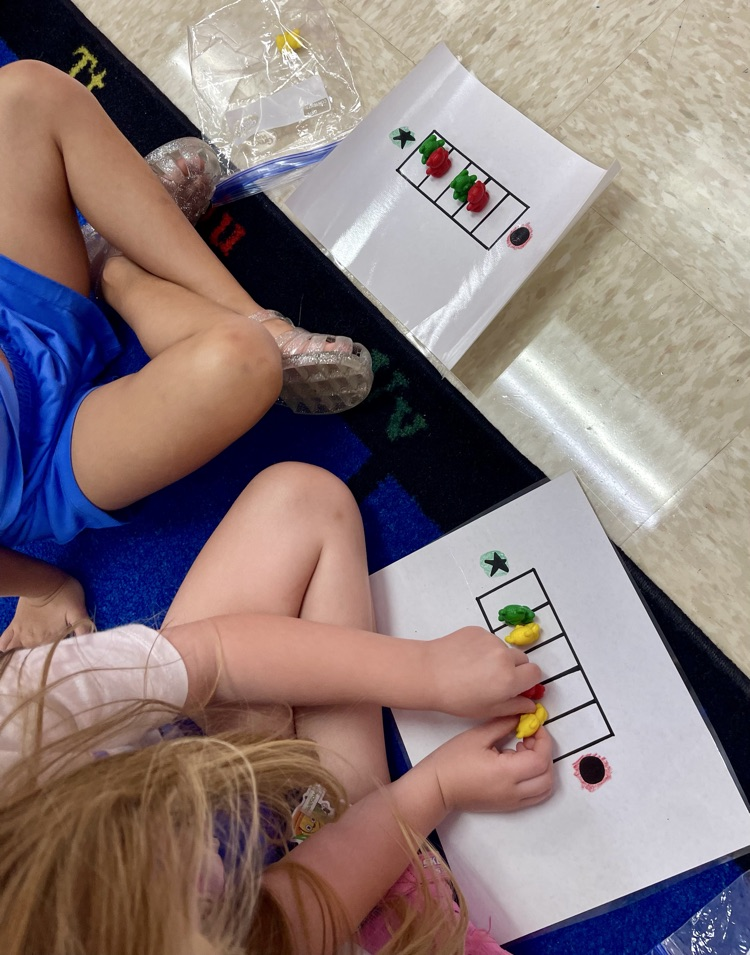 Mrs Elizabeth’s Class is learning to count sounds in our classroom and to count words in a sentence. They use their counting mats & bears, to show the number they hear.