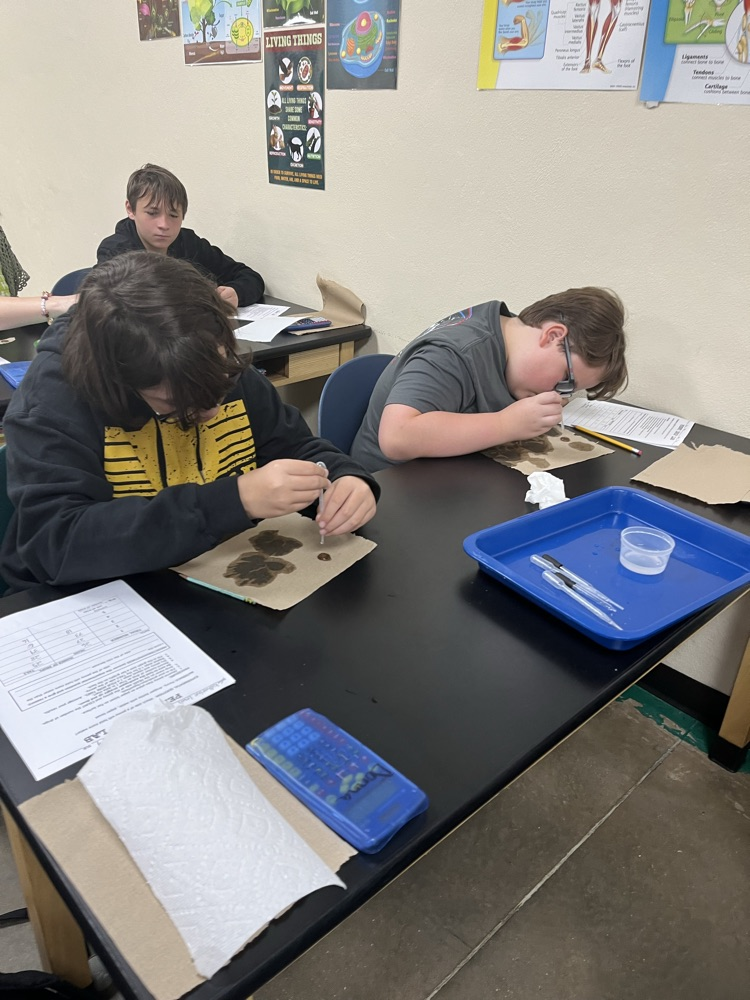 lab 7