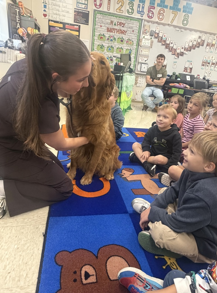 This week, we are learning the letter V! Bailey, a vet student at LSU, brought her dog, Ralph, to help us learn about what a veterinarian does🐾