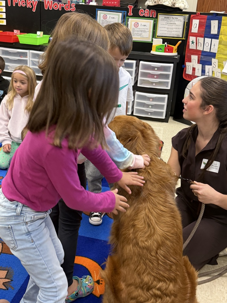 This week, we are learning the letter V! Bailey, a vet student at LSU, brought her dog, Ralph, to help us learn about what a veterinarian does🐾