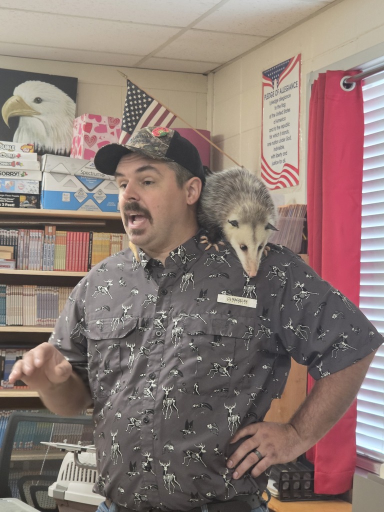 opossum