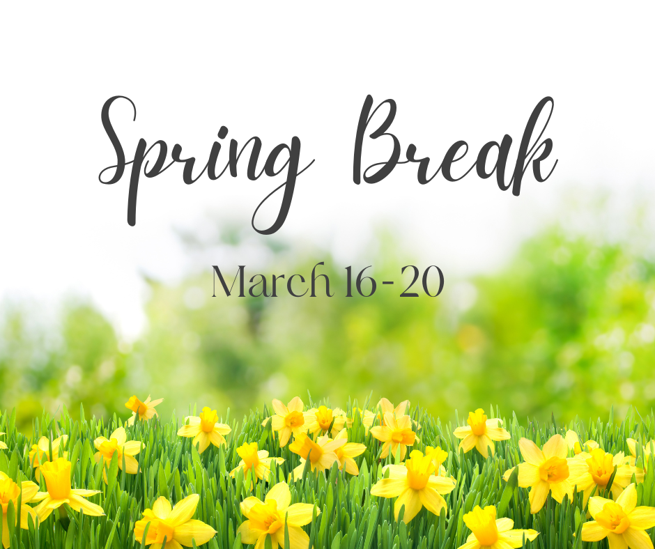 A field of vibrant yellow daffodils fills the foreground, set against a softly blurred green background. At the top, the phrase 'Spring Break' appears in large, flowing cursive text, with the dates 'March 16–20' written below in a smaller, classic serif font.