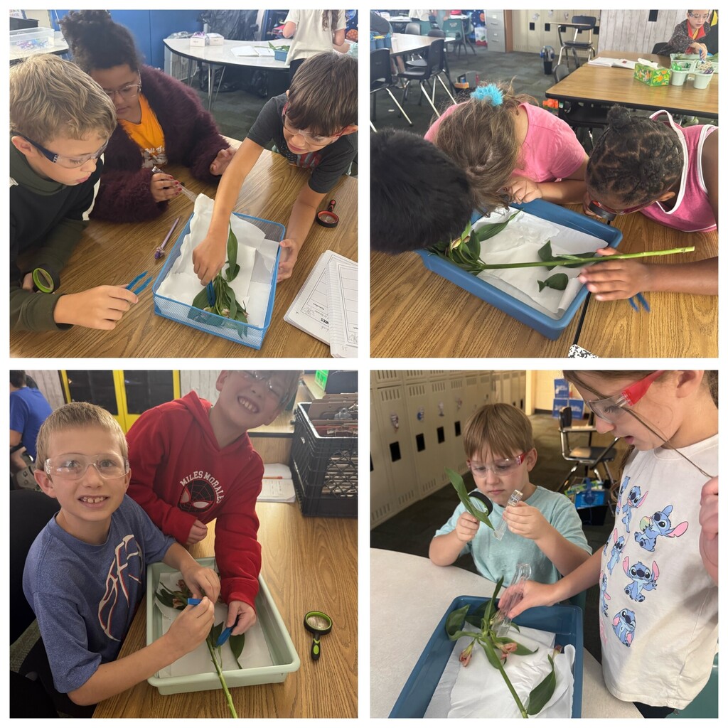 Flower Lab #2