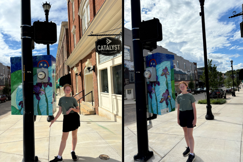 heidi williams traffic box art