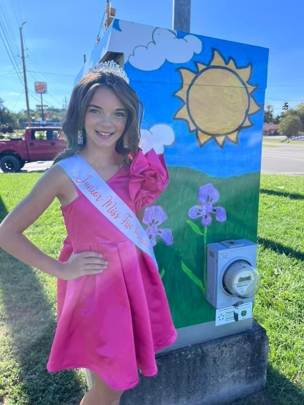 violet leonard traffic box art