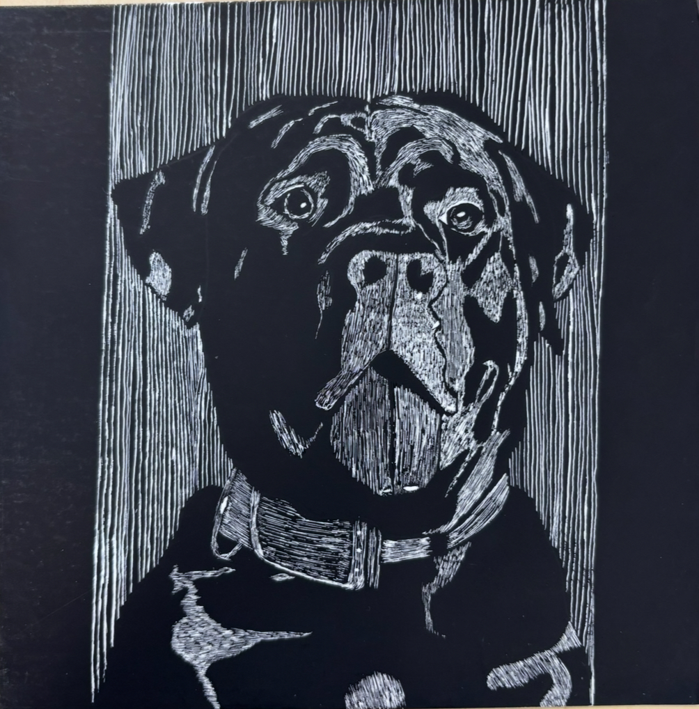 Kaliegh Bohannan, "Zeusifer"