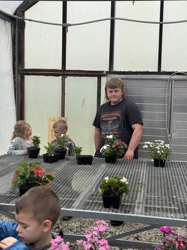 Kindergarten planting with Mrs Burrow’s class