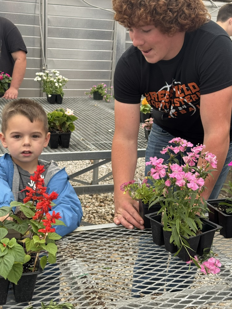 Kindergarten planting with Mrs Burrow’s class