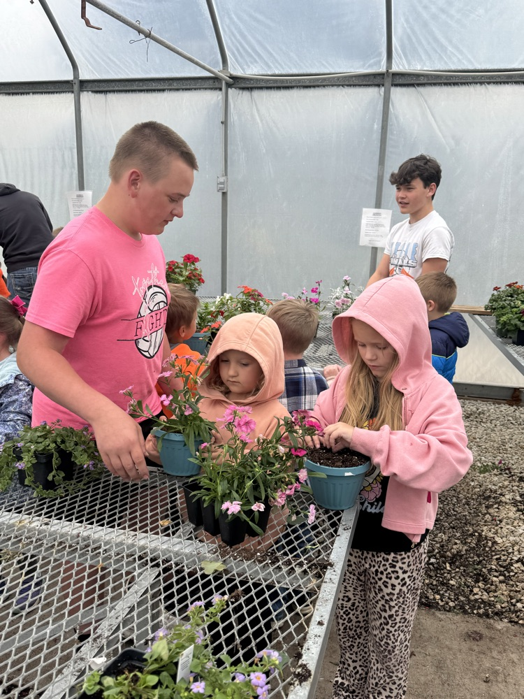 Kindergarten planting with Mrs Burrow’s class