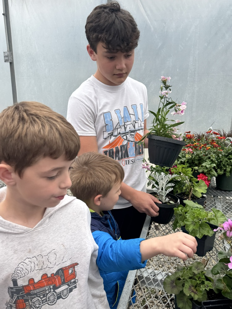 Kindergarten planting with Mrs Burrow’s class