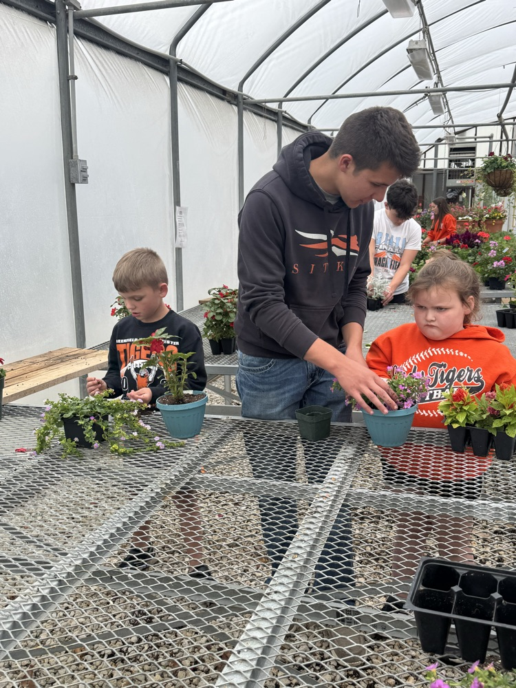 Kindergarten planting with Mrs Burrow’s class