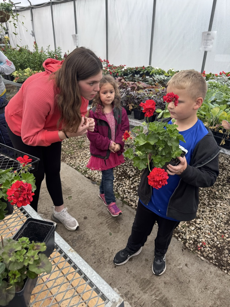 Kindergarten planting with Mrs Burrow’s class