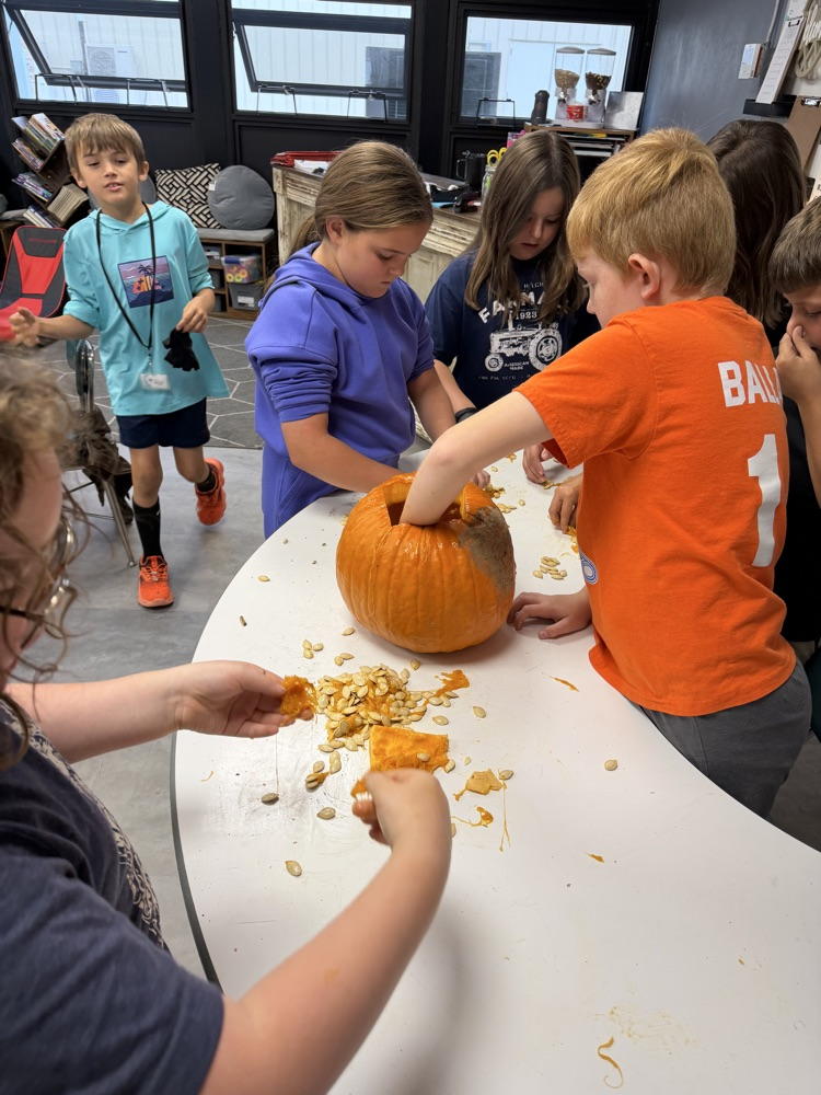 Pumpkin Math